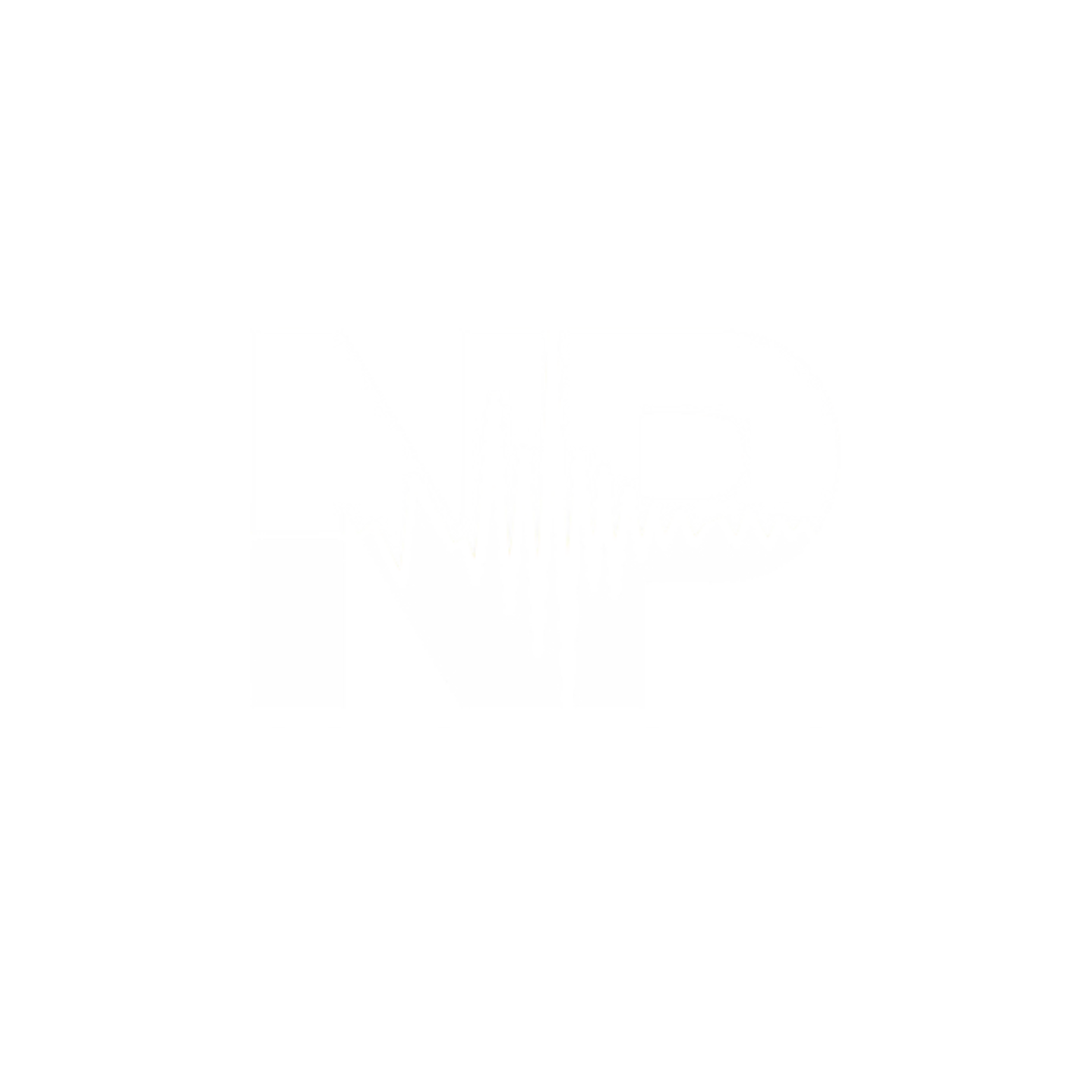 NP Constructies
